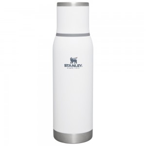 Stanley ADVENTURE TO-GO BOTTLE | 25 OZ Polar | 27485-GFSU