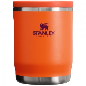 Stanley ADVENTURE TO-GO FOOD JAR | 18 OZ Tigerlily Plum | 03976-CIYR