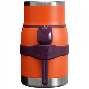 Stanley ADVENTURE TO-GO FOOD JAR + SPORK | 24 OZ Tigerlily Plum | 43180-NSJD