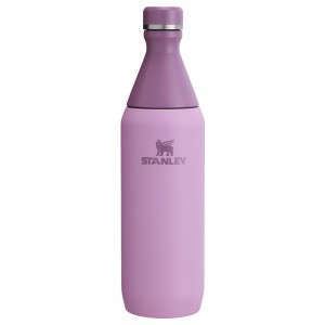 Stanley ALL DAY SLIM BOTTLE | 20 OZ Lilac | 59702-IKLV