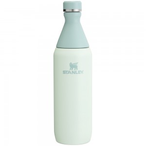 Stanley ALL DAY SLIM BOTTLE | 20 OZ Mist | 28790-QGFS