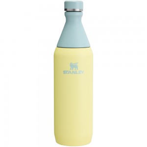 Stanley ALL DAY SLIM BOTTLE | 20 OZ Pomelo | 58390-WXQK