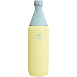 Stanley ALL DAY SLIM BOTTLE | 34 OZ Pomelo | 52690-ZCEB