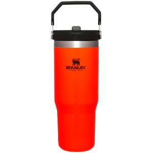 Stanley Hunt + Fish IceFlow™ Flip Straw Tumbler | 30 OZ Blaze Orange | 51386-KORI