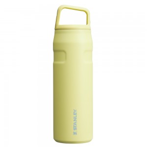 Stanley ICEFLOW™ BOTTLE WITH CAP AND CARRY+ LID | 24 OZ Tigerlily Plum | 19367-TWFP