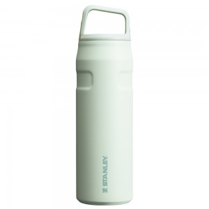 Stanley ICEFLOW™ BOTTLE WITH CAP AND CARRY+ LID | 24 OZ Mist | 14365-VZTQ