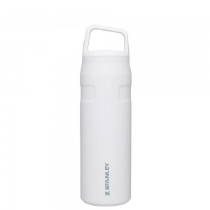 Stanley ICEFLOW™ BOTTLE WITH CAP AND CARRY+ LID | 24 OZ Polar | 64123-UDAF