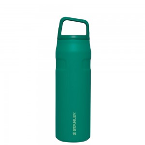 Stanley ICEFLOW™ BOTTLE WITH CAP AND CARRY+ LID | 24 OZ Alpine | 37085-LEMJ