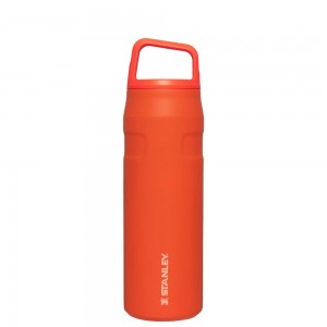 Stanley ICEFLOW™ BOTTLE WITH CAP AND CARRY+ LID | 24 OZ Tigerlily | 61780-NLFO