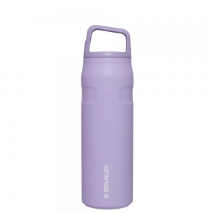 Stanley ICEFLOW™ BOTTLE WITH CAP AND CARRY+ LID | 24 OZ Lavender | 36014-NIGB