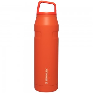 Stanley ICEFLOW™ BOTTLE WITH CAP AND CARRY+ LID | 36 OZ Tigerlily | 65018-BMGH