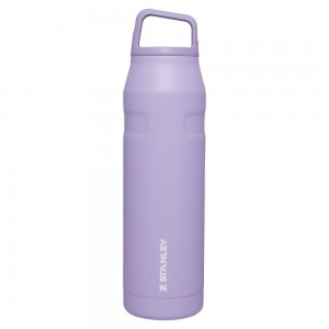 Stanley ICEFLOW™ BOTTLE WITH CAP AND CARRY+ LID | 36 OZ Lavender | 89624-NKSD