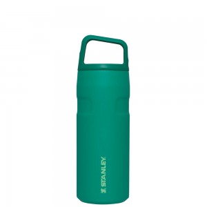 Stanley ICEFLOW™ BOTTLE WITH CAP AND CARRY+ LID | 16 OZ Alpine | 79586-FWJM