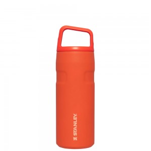 Stanley ICEFLOW™ BOTTLE WITH CAP AND CARRY+ LID | 16 OZ Tigerlily | 15726-HTQP