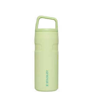 Stanley ICEFLOW™ BOTTLE WITH CAP AND CARRY+ LID | 16 OZ Citron | 03517-PYWB