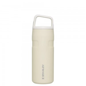 Stanley ICEFLOW™ BOTTLE WITH CAP AND CARRY+ LID | 16 OZ Cream Glimmer | 53984-RHOU