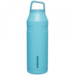 Stanley ICEFLOW™ BOTTLE WITH CAP AND CARRY+ LID | 50 OZ Pool | 71562-YLDM