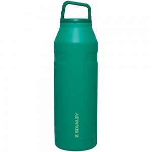 Stanley ICEFLOW™ BOTTLE WITH CAP AND CARRY+ LID | 50 OZ Alpine | 96502-IJYV