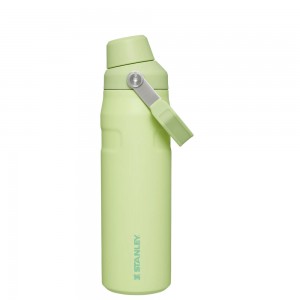 Stanley ICEFLOW™ BOTTLE WITH FAST FLOW LID | 24 OZ Citron | 24760-FDHV