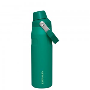 Stanley ICEFLOW™ BOTTLE WITH FAST FLOW LID | 24 OZ Alpine | 34528-VODR