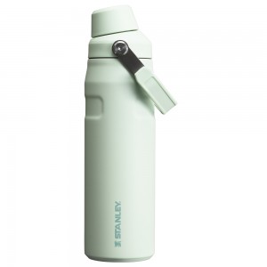 Stanley ICEFLOW™ BOTTLE WITH FAST FLOW LID | 24 OZ Mist | 87495-SBEH