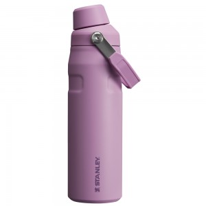 Stanley ICEFLOW™ BOTTLE WITH FAST FLOW LID | 24 OZ Lilac | 16203-NDKX