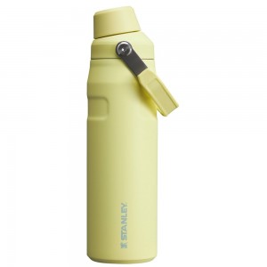 Stanley ICEFLOW™ BOTTLE WITH FAST FLOW LID | 24 OZ Pomelo | 73460-OYZA