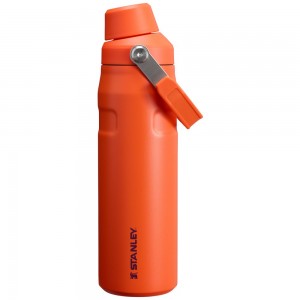 Stanley ICEFLOW™ BOTTLE WITH FAST FLOW LID | 24 OZ Tigerlily Plum | 09374-NVXA