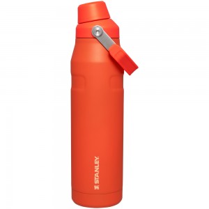 Stanley ICEFLOW™ BOTTLE WITH FAST FLOW LID | 36 OZ Tigerlily | 80275-QZNX