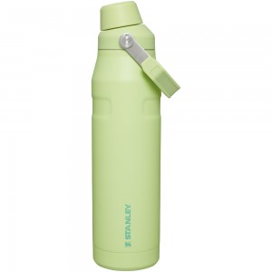 Stanley ICEFLOW™ BOTTLE WITH FAST FLOW LID | 36 OZ Citron | 47615-DHYI