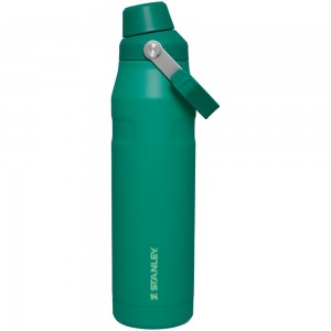 Stanley ICEFLOW™ BOTTLE WITH FAST FLOW LID | 36 OZ Alpine | 61784-BVOI