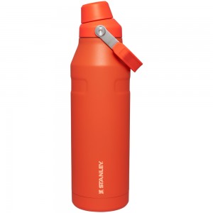 Stanley ICEFLOW™ BOTTLE WITH FAST FLOW LID | 50 OZ Tigerlily | 09387-RDTW