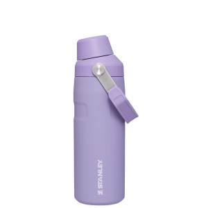 Stanley ICEFLOW™ BOTTLE WITH FAST FLOW LID | 16 OZ Lavender | 23570-JYZU