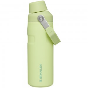 Stanley ICEFLOW™ BOTTLE WITH FAST FLOW LID | 16 OZ Citron | 32048-UCNZ