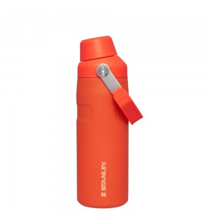 Stanley ICEFLOW™ BOTTLE WITH FAST FLOW LID | 16 OZ Tigerlily | 43560-AVLR