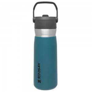 Stanley THE GO FLIP STRAW WATER BOTTLE | 22 OZ Lagoon | 30726-ZKGR