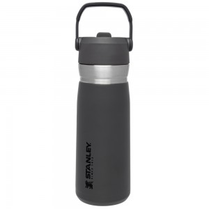 Stanley THE GO FLIP STRAW WATER BOTTLE | 22 OZ Charcoal | 20974-XDRK