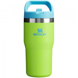 Stanley THE HEAT WAVE GO ICEFLOW™ FLIP STRAW BOTTLE | 20 OZ Bright Lime | 07964-QXJI