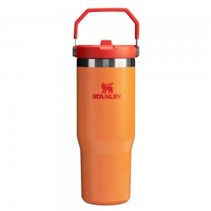 Stanley THE HEAT WAVE ICEFLOW™ FLIP STRAW TUMBLER | 30 OZ Goldenrod | 69305-IOAN