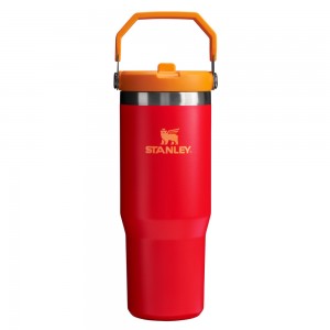 Stanley THE HEAT WAVE ICEFLOW™ FLIP STRAW TUMBLER | 30 OZ Chili | 40758-GTDM