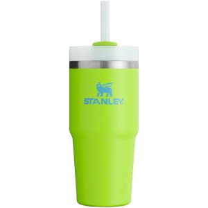 Stanley THE HEAT WAVE QUENCHER H2.O FLOWSTATE™ TUMBLER | 14 OZ Bright Lime | 36128-XHCS