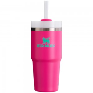 Stanley THE HEAT WAVE QUENCHER H2.O FLOWSTATE™ TUMBLER | 14 OZ Passion Pink | 18697-XBIH