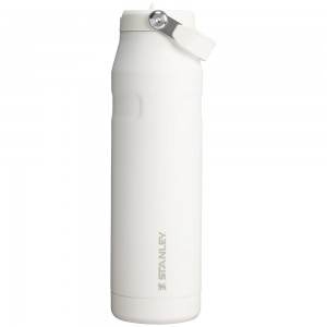 Stanley THE ICEFLOW™ BOTTLE WITH FLIP STRAW LID | 36 OZ Frost | 97021-YELF