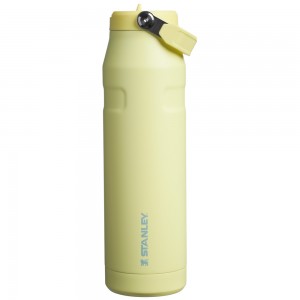 Stanley THE ICEFLOW™ BOTTLE WITH FLIP STRAW LID | 36 OZ Pomelo | 58740-FQCO