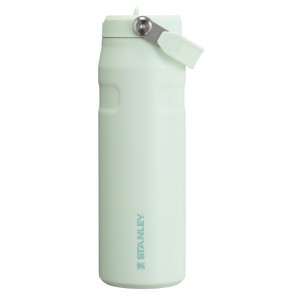 Stanley THE ICEFLOW™ BOTTLE WITH FLIP STRAW LID | 24 OZ Mist | 85290-GLYX