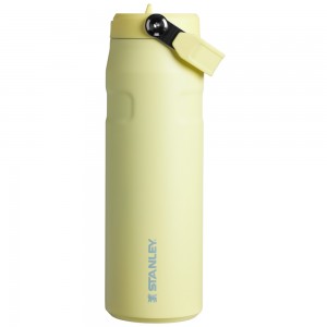 Stanley THE ICEFLOW™ BOTTLE WITH FLIP STRAW LID | 24 OZ Pomelo | 47238-JAIN