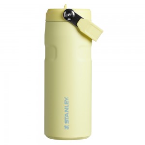 Stanley THE ICEFLOW™ BOTTLE WITH FLIP STRAW LID | 16 OZ Pomelo | 35807-XZND