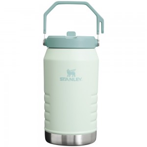 Stanley THE ICEFLOW™ FLIP STRAW JUG | 64 OZ Mist | 83015-NUSA