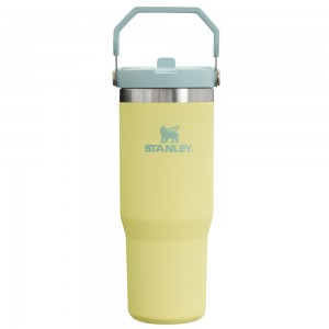 Stanley THE ICEFLOW™ FLIP STRAW TUMBLER | 30 OZ Pomelo | 25701-NHUI