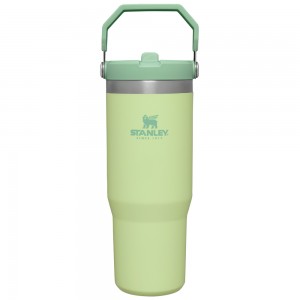 Stanley THE ICEFLOW™ FLIP STRAW TUMBLER | 30 OZ Citron | 04251-JNQS